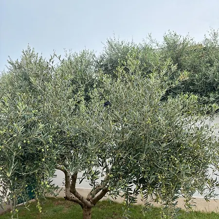 Silver Novigrad With Private Pool * Novigrad (Istria)
