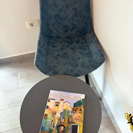 Villa Silver Novigrad With Private Pool *